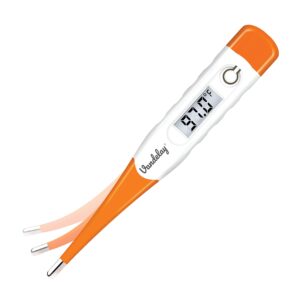 Vandelay Temperature Digital Thermometer